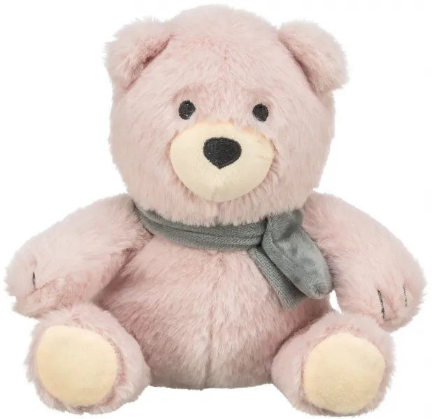 Teddy